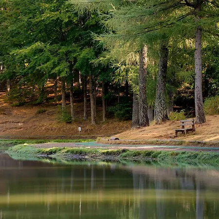 San Marco 4* ססטולה